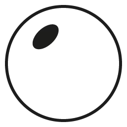 Single Vision Non-Polarized 1.61 High-Index
